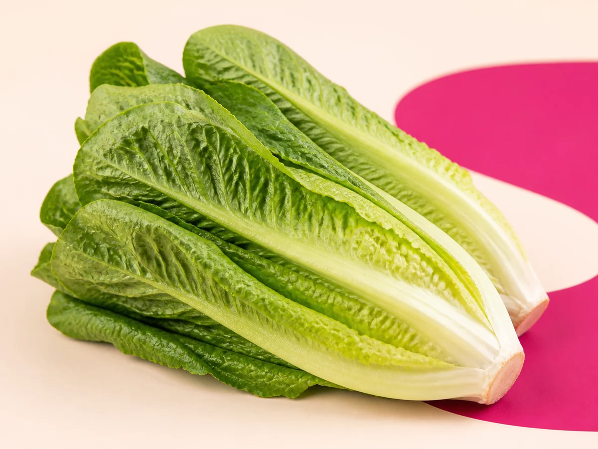 Lechuga romana fresco al por mayor – HeyFruit Murcia