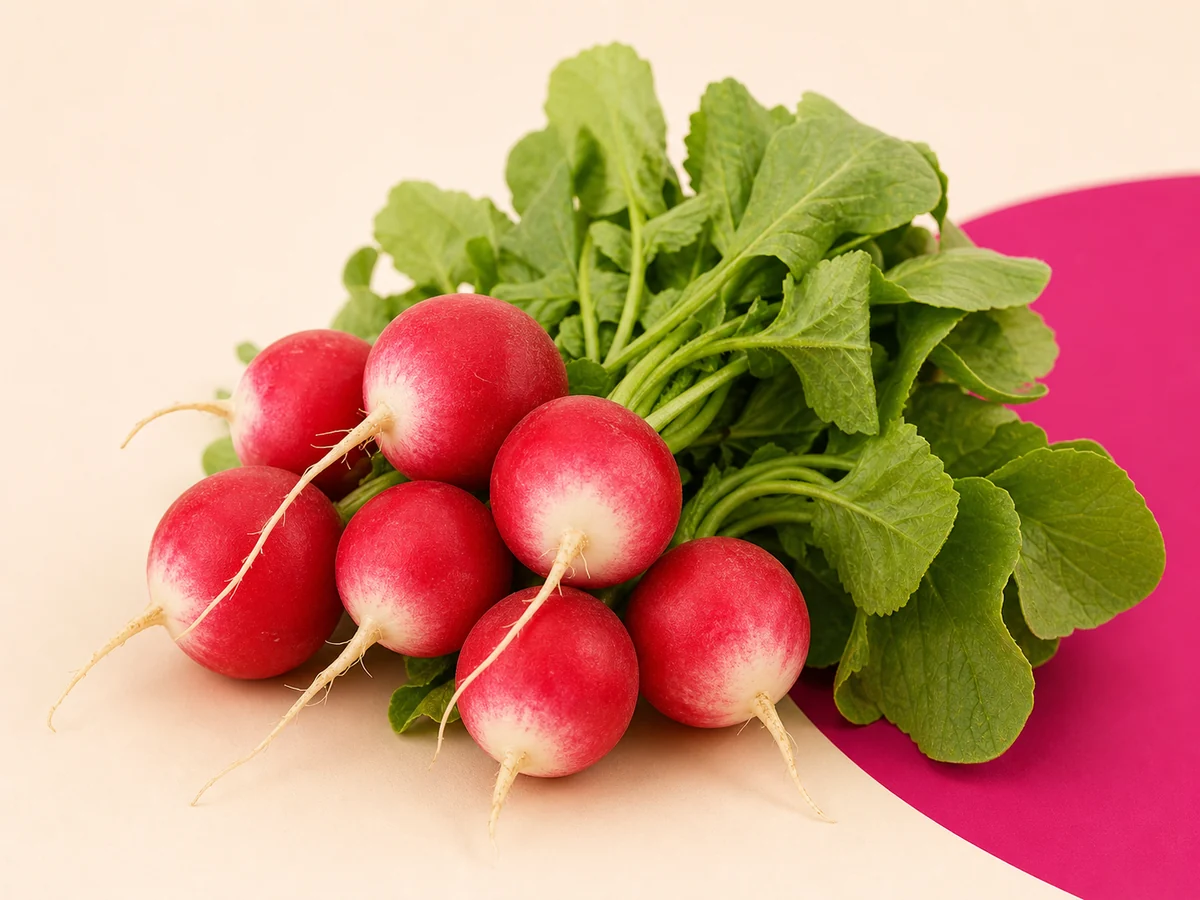 Rabanito fresco al por mayor – HeyFruit Murcia